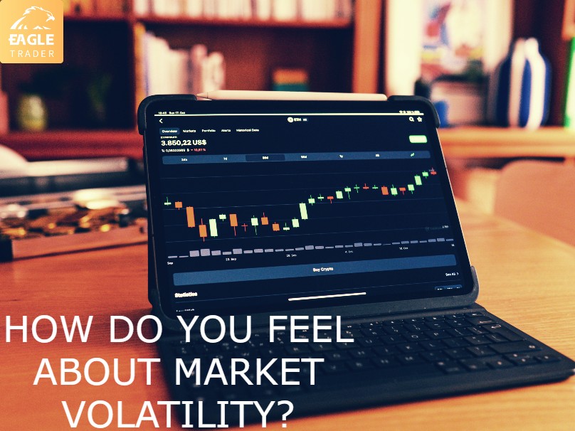 你如何看待市场波动性的?