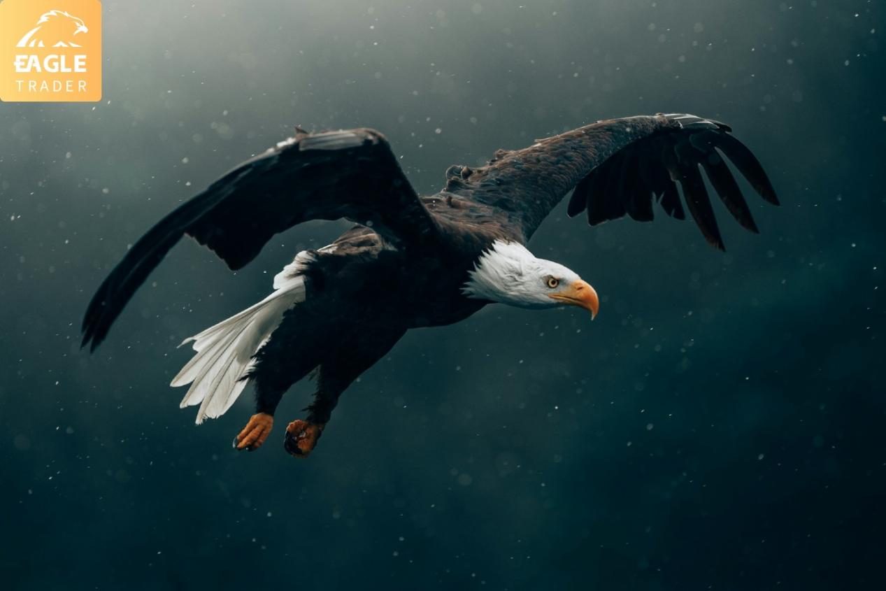 什么是EagleTrader?